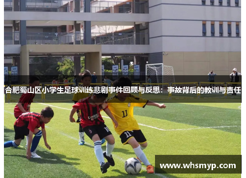合肥蜀山区小学生足球训练悲剧事件回顾与反思:事故背后的教训与责任 合肥蜀山区小学生足球训练悲剧事件回顾与反思:事故背后的教训与责任