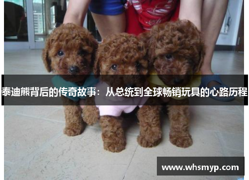 泰迪熊背后的传奇故事:从总统到全球畅销玩具的心路历程 泰迪熊背后的传奇故事:从总统到全球畅销玩具的心路历程