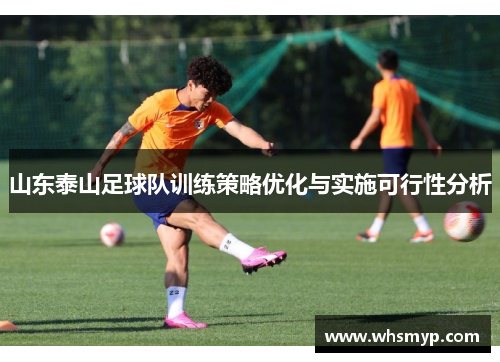 山东泰山足球队训练策略优化与实施可行性分析